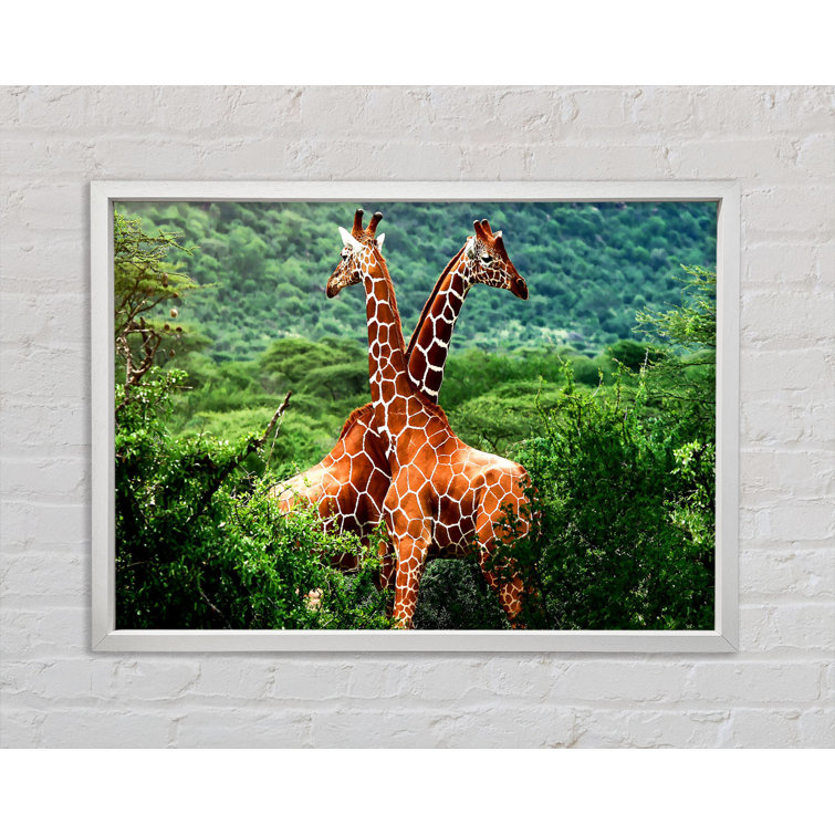 Bright Star Giraffes Africa - Single Picture Frame Art Prints on Canvas
